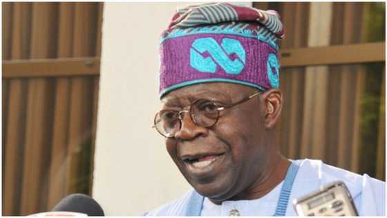Bola Tinubu: Former northern governor declares support for APC national leader, gives reasons