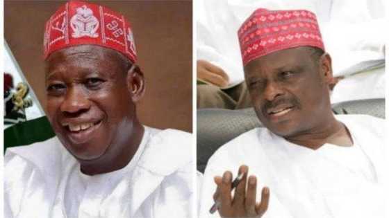 Da zafi-zafi: Ganduje ya yi martani mai zafi ga Kwankwaso kan zargin murde zaben 2019