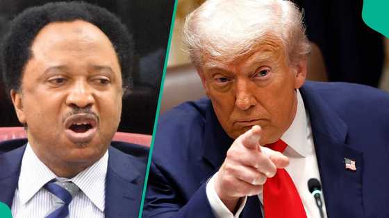 Ex-Nigerian senator warns Nigerians hiding in US as Trump begins deportation: "Respect yourselves"