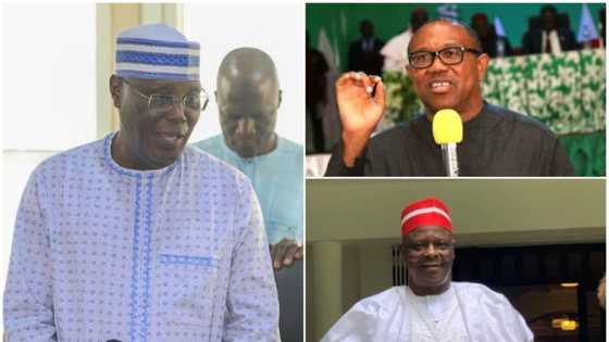 2023: APC in bad spot as PDP reportedly mulls engaging Obi, Kwankwaso's help for Atiku