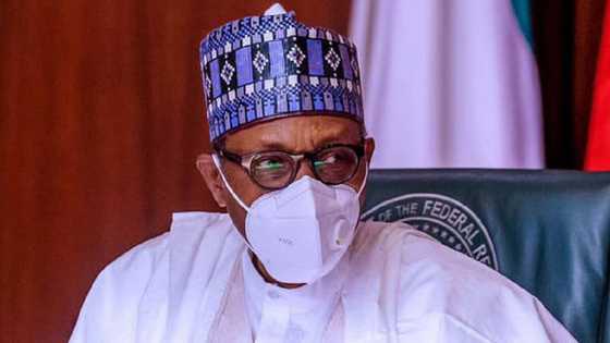 Ba ma yi: Mutane 100,000 sun yi wa Buhari tawaye a shafukansu na Twitter