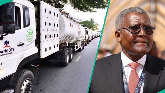 Finally, Dangote free fuel distribution begins, new petrol prices emerge
