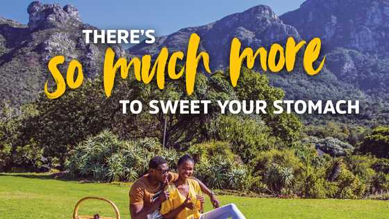 Experience more: Why South Africa is the perfect vacation spot for you and your family