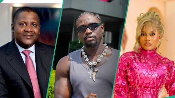 Dangote truck: Verydarkman weighs in on BBNaija Phyna’s ordeal with billionaire’s driver