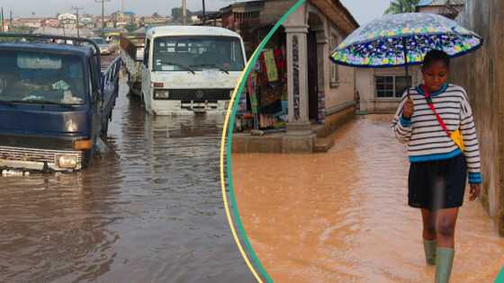 "Prepare Well": NiMet releases list of 21 states expected to witness heavy rain in next 24 hours