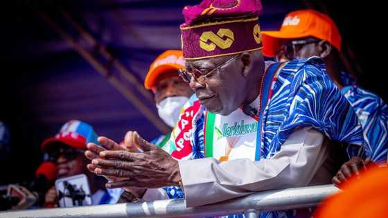 Muslim-Muslim ticket: “We should expect more wahala in 2023,” northern CAN speaks