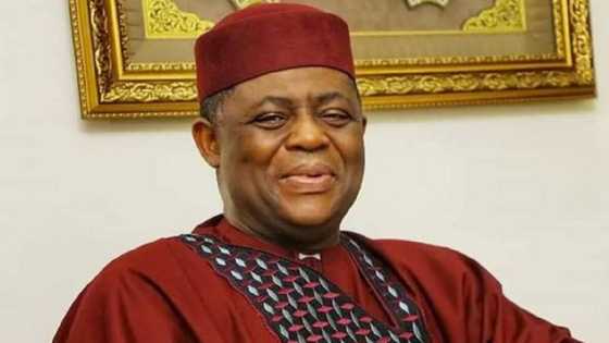 Coup Scare: APC Flays Police Invitation of Fani-Kayode After DSS Interrogation