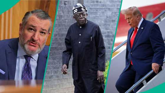 Ana murna magana ta lafa, sanatan Amurka yana harin jika wa Tinubu aiki