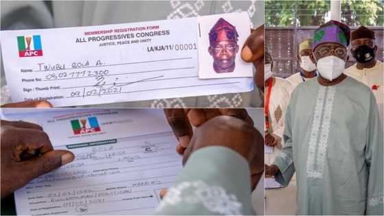 Everything is wrong: Mixed reactions as Nigerians spot 'errors' on Tinubu’s APC registration form
