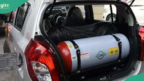 “CNG Is thriving, investments are expanding”: Presidency replies doubting 'Thomases'