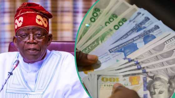 APC chieftain in Germany lists 5 things Tinubu can do to rescue Nigeria's economy