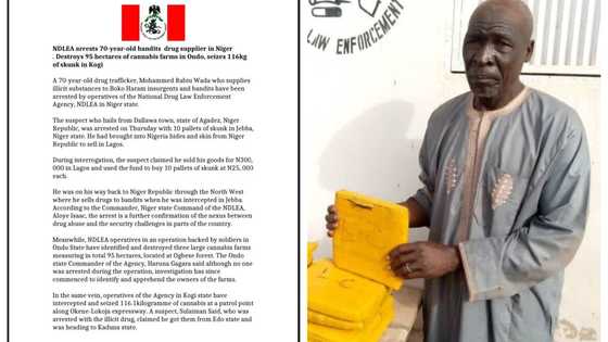 NDLEA ta kame wani tsoho dan shekara 70 dake kaiwa 'yan Boko Haram kwaya