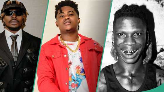 “Na me start am”: Singer Danny Young claims he paved way for Asake, Seyi Vibez, sparks online debate