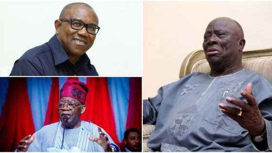 Peter Obi or Tinubu? Afenifere finally reveals presidential candidate to support for 2023, gives reason