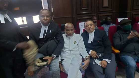 Tserewa zai yi: Yadda aka kaya a kotu kan batun belin shugaban 'yan IPOB Nnamdi Kanu