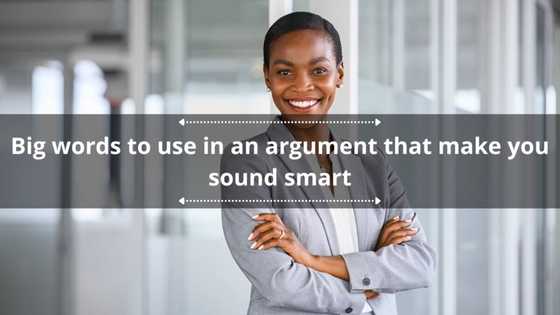 100+ big words to use in an argument that make you sound smart