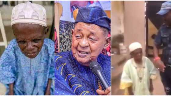 Meet Baba Keji, oldest and shortest palace servant reportedly aged over 120 who has served 3 Alaafins