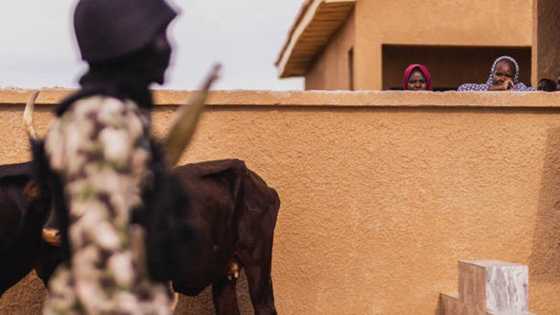 A Maida ni Wajen Mijina Inji ‘Yar Chihok da Aka Ceto Daga Hannun ‘Dan Boko Haram