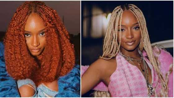 "Tiwa Savage's scope": Reactions as Ayra Starr explains the meaning of popular line ‘E Dey Rush’ in new song