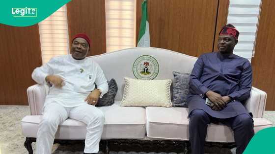 Rayuwar dubban matasa za ta sauya, an tallafa musu bayan koyon sana'o'i, APC ta yi magana