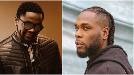 Last Last na sample song: Reactions as fans compares Burna Boy's song to Kizz Daniel's Buga