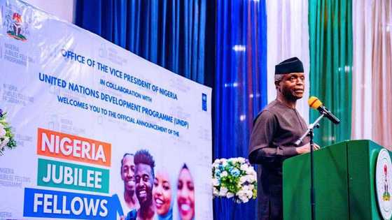 Jubilation as Buhari set to unveil 12-month job fellowship for 20,000 Nigerian graduates