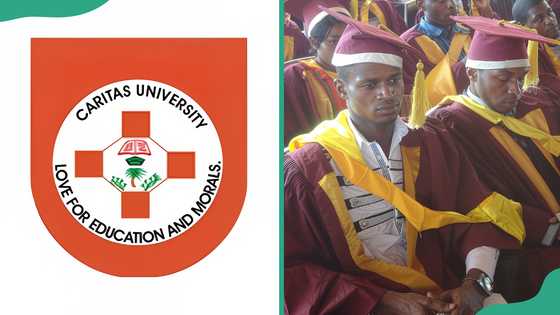 Caritas University courses and admission requirements: here's how to apply