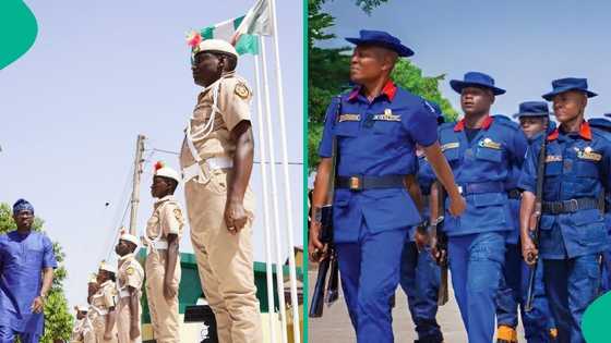 2025 recruitment: Immigration, Civil Defence, Fire Service, others issues new notice to all applicants