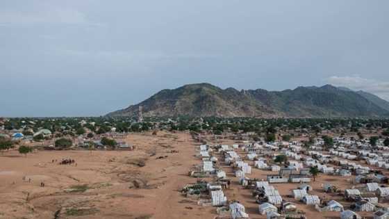 Two pregnant women deliver babies while fleeing armed bandits attack in Niger state