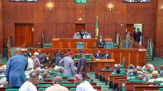 House of Reps discloses how much Nigeria loses to oil theft yearly