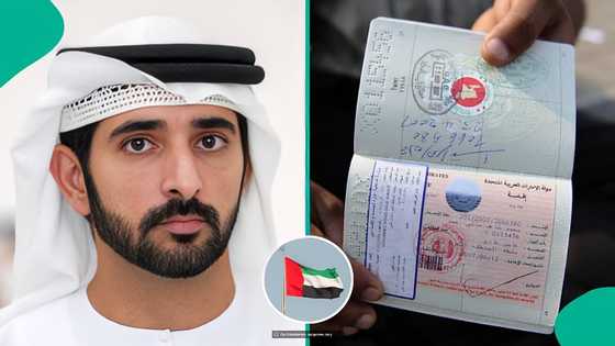 UAE releases names of 46 countries eligible for 90-day visa on arrival, publishes official list