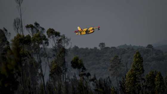 Portugal fires contained, situation remains 'serious'