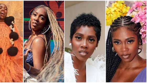 Many shades of Tiwa Savage: 7 beautiful photos show music diva's favourite hairstyles
