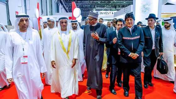 Fact-check: Was Dubai built with $12bn infrastructure fund as claimed by Facebook User?