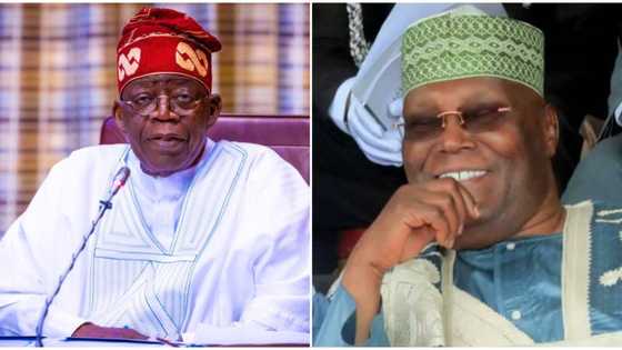 Breaking: Tension as tribunal admits Chicago University, NYSC certificates against President Bola Tinubu