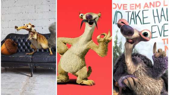 20 most popular Ice Age characters that made the franchise so iconic