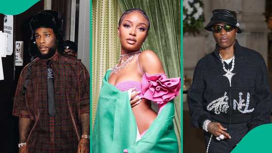 Rema, 4 other Nigerian singers make list of artists with 1 billion streams: "Where Davido"