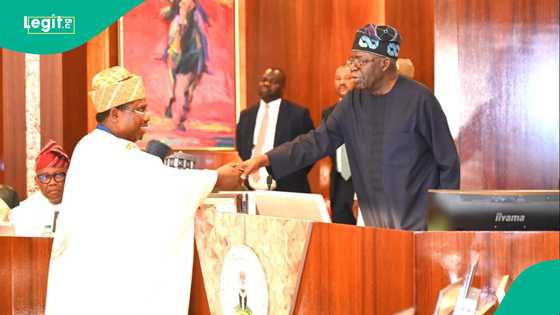 Tinubu advises new INEC chairman what to do: "No election is flawless"