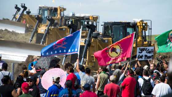 Greenpeace trial begins in North Dakota in key free speech case