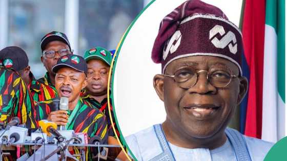 Breaking: Organised labour in meeting with Tinubu over new minimum wage, details emerge