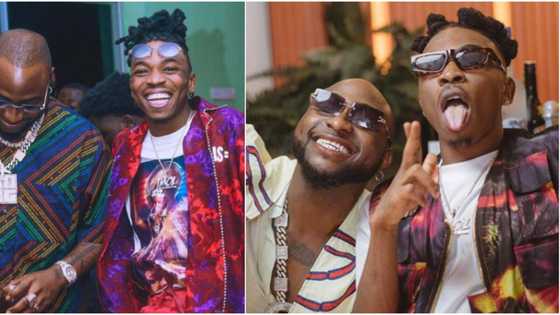 Davido thanks God for the day he found Mayorkun as the later appreciates learning from him