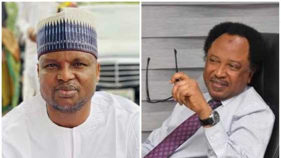 Hasashen Shehu Sani: Abubuwan da Abba Kyari zai yi gamo dasu a magarkamar Kuje