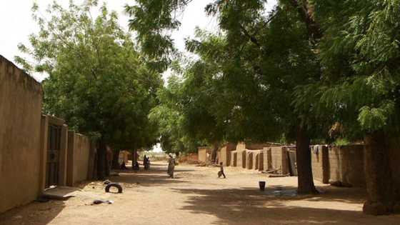 Tragedy as suspected kidnappers kill Plateau PDP chieftain, woman