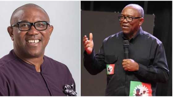 Peter Obi reveals what he looks forward to in his new Nigeria