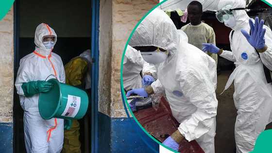 FG places 15 Nigerian states on Ebola alert, orders hospitals to prepare isolation centres