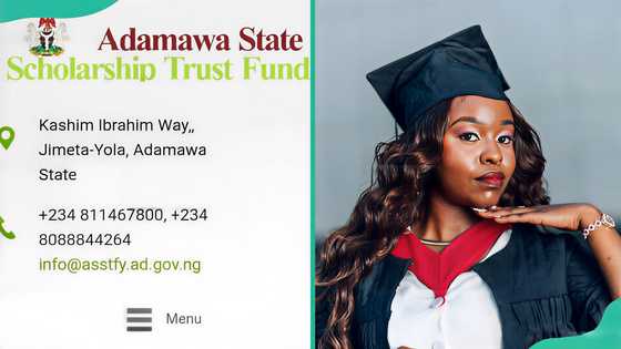Your complete guide to the Adamawa State Scholarship and how to secure it
