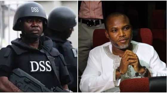 Nnamdi Kanu: Do not obey IPOB’s sit at home order - Ohanaeze Worldwide tells southeast residents