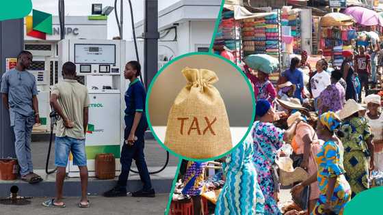 Tinubu's revised taxes, rising fuel prices slowed business growth in Nigeria in January 2026
