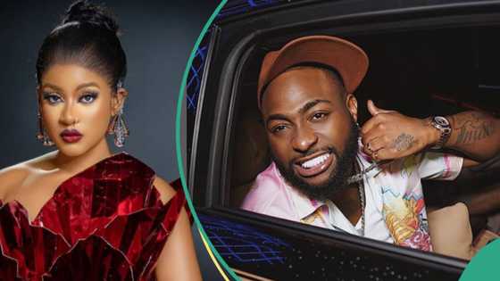 "Make I go double my hustle": BBNaija Phyna laments after Davido says he doesn't know who she is