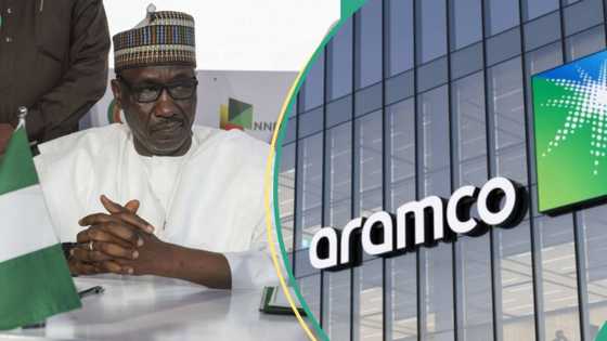 Lessons for NNPC as Its counterpart, Saudi Aramco plans $50 billion stock listing, biggest in the world